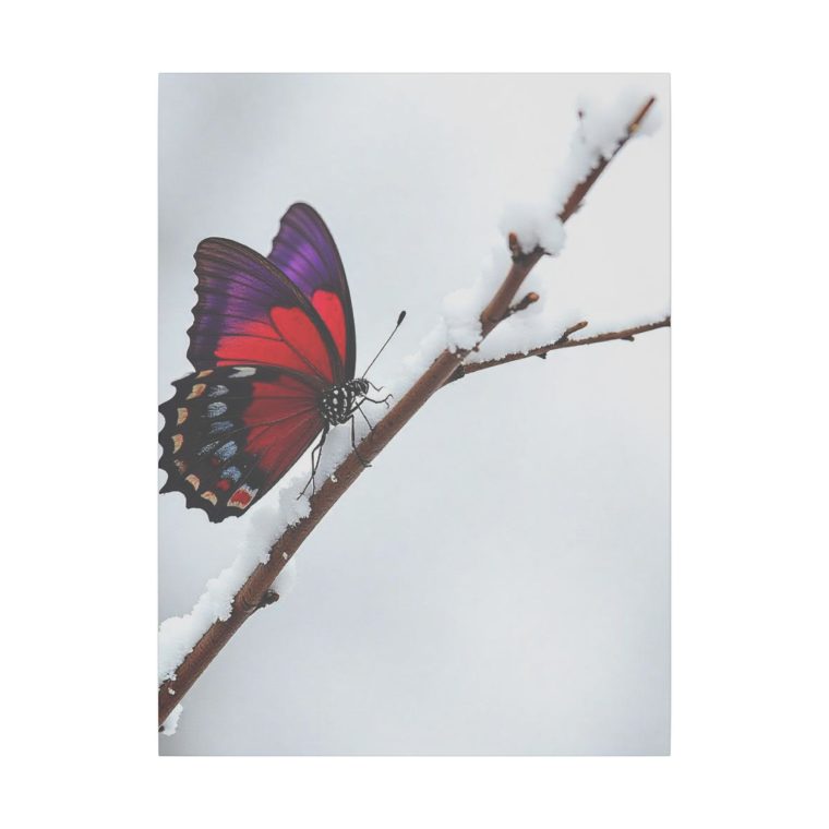 Snowy Serenity A Butterfly's Radiant Perch - Image 5