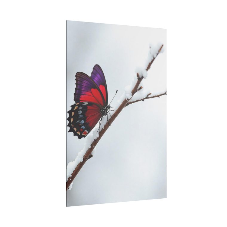 Snowy Serenity A Butterfly's Radiant Perch