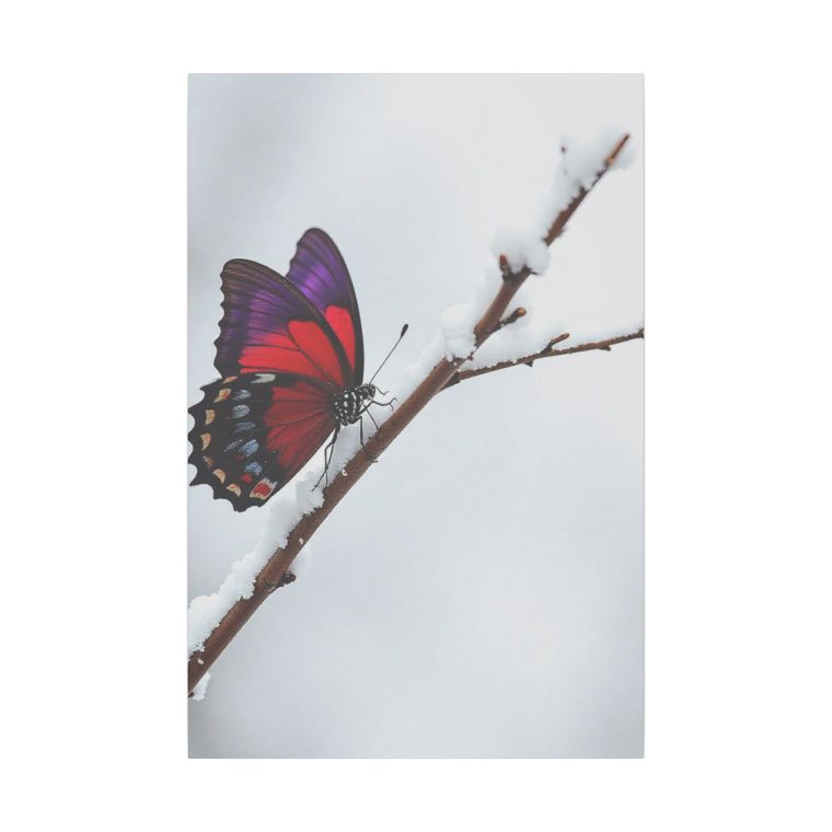 Snowy Serenity A Butterfly's Radiant Perch - Image 9